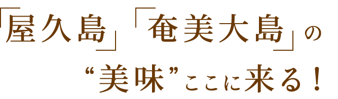 「屋久島」「奄美大島」