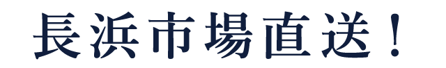 長浜市場直送！