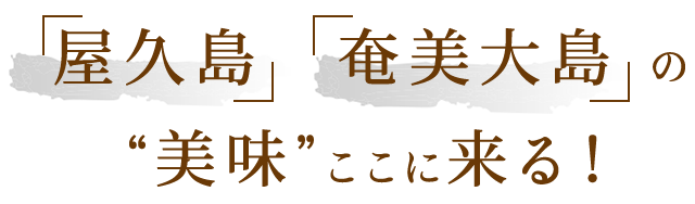 「屋久島」「奄美大島」の“美味”ここに来る！