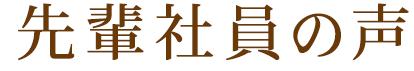 先輩社員の声